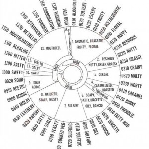 Cheese Taste Wheel 3