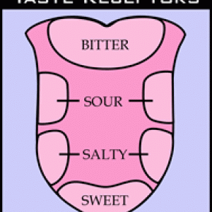 Tongue Map