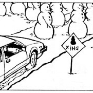 snoxing.jpg