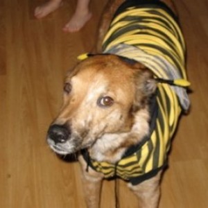 Buddy1.jpg