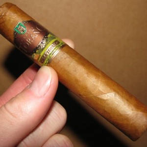 Casa Torano Robusto