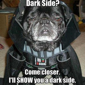funny-dog-pictures-dark-side.jpg