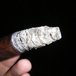 STH71294.JPG