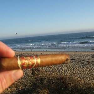 Opus X Perfecxion X (6 ¼" x 48)