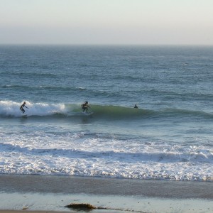 Kiters