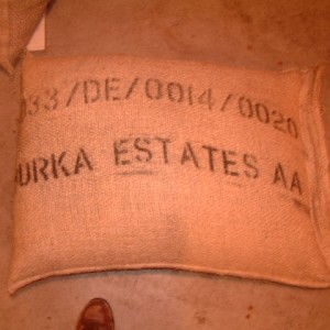 DSCF0033.JPG