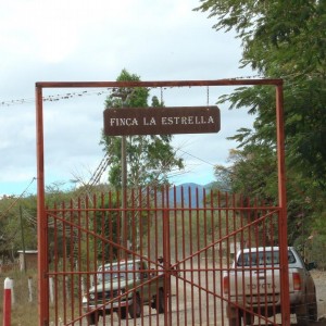 Pepin's new farm....Finca La Estrella