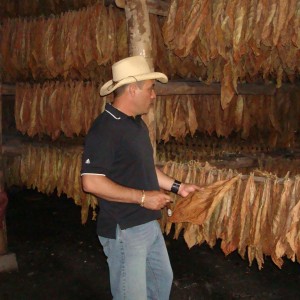 Jaime checking leaves