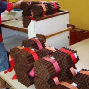Once rolled, Padron cigars are weighed in bundles of 50.  If the weight is only slightly off, the cigars are inspected one by one, as are ALL the cigars rolled and bunched by that pair.