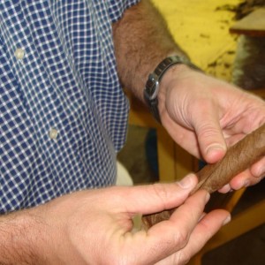To illustrate the difference between cured tobacco and tobacco that isn't yet properly cured, Jorge wrapped a leaf of each on the cigar I was smoking.  I smoked them both and immediately noticed the differences.