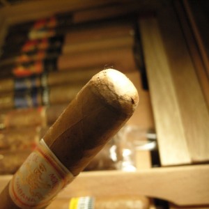 Hoyo Double Corona cap.