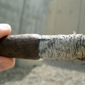 Ashton VSG Enchantment