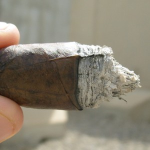 Ashton VSG Enchantment