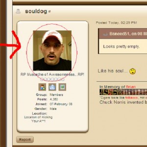 souldog