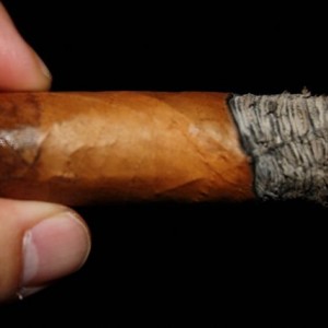 Blind Cigar Review - 5