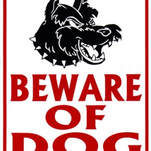 8x10BewareDog.jpg