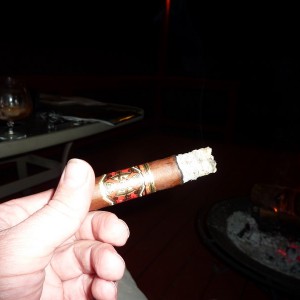 OpusX PerfeXion X - 2006 - Still an Amazing Burn!