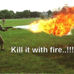 Kill_It_with_fire.jpg