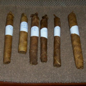 The first 6