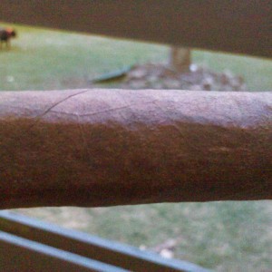 Padron 1926 B.jpg