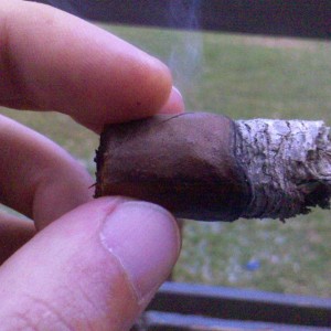 Padron 1926 F.jpg