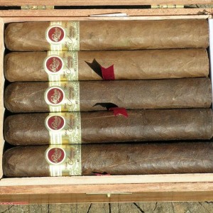 Padron 64 SI-15 Special Release_4