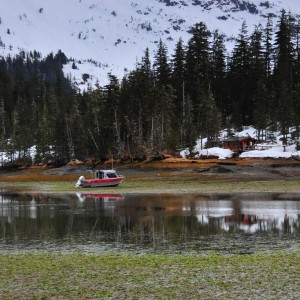 Cabin parking