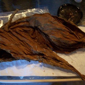 2011 tobacco 021.jpg