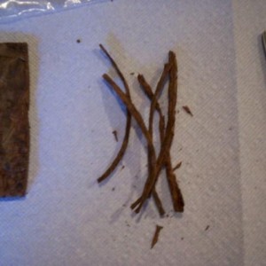 2011 tobacco 018.jpg