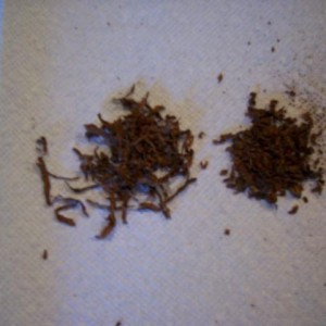 2011 tobacco 020.jpg