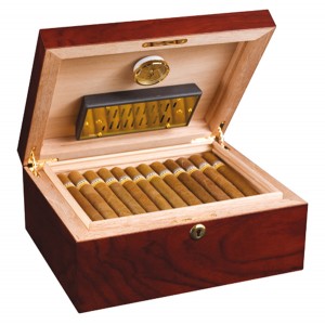 adorini humidor triest open