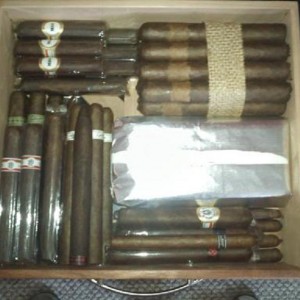 TatPorn