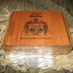 IMG 4785