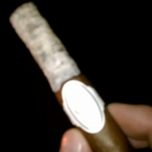 IMAG0397