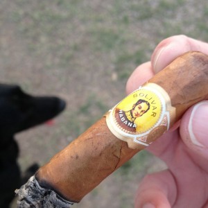 bolivar corona junior