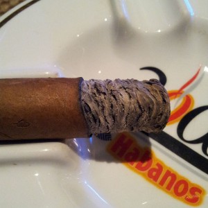 Hoyo Epicure Especial