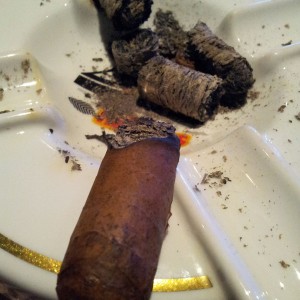 Hoyo Epicure Especial