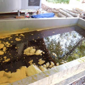 Finished syrup in the pan