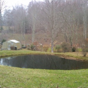First pond