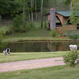 The cook shed