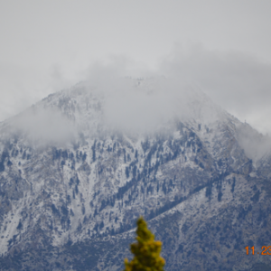 View from front porch