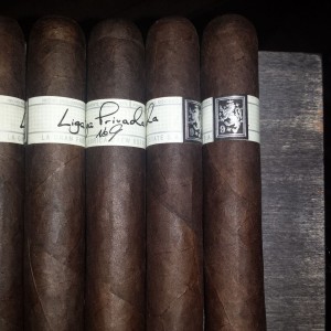 Liga No. 9 Robustos