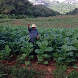 Santo Tomas, Vinales - World Heritage Site where tobacco is grown as in Semivuelta climates