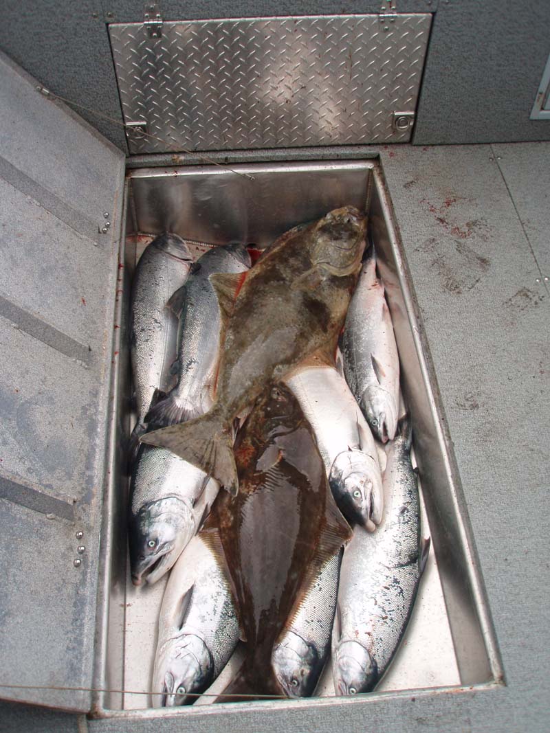 8.17.07.Day.2.05.Fish.box.jpg