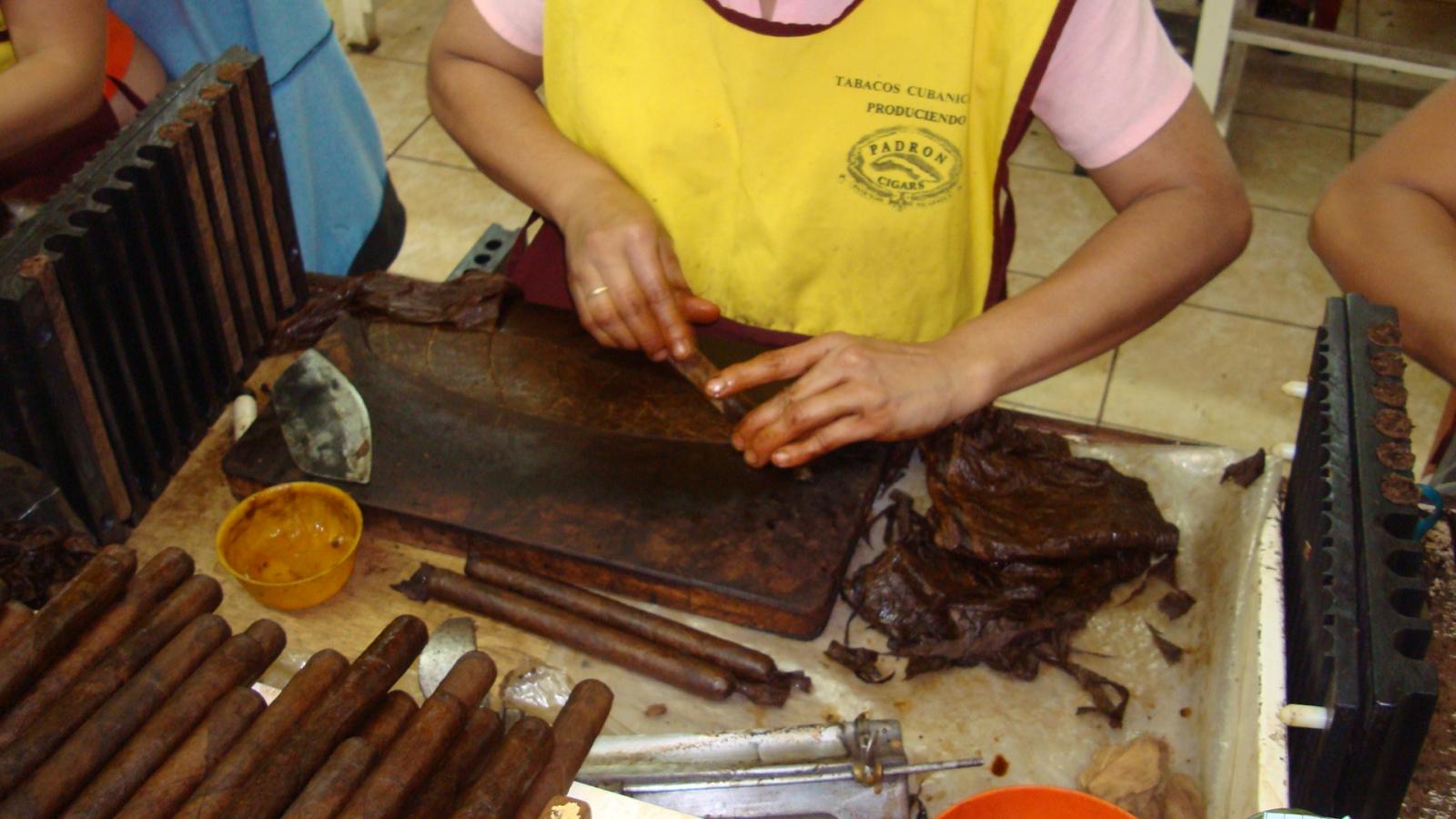 a Padron rolller