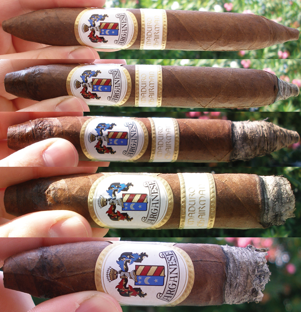 Arganese Cigars: Maduro Chairman Torpedo