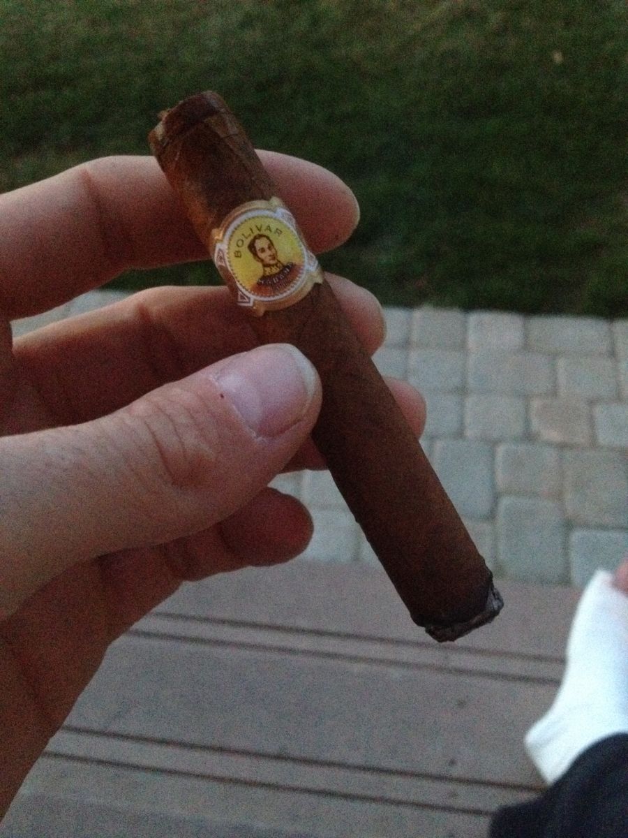 Bolivar Corona Junior
