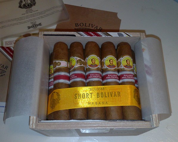 Bolivar Short Bolivar