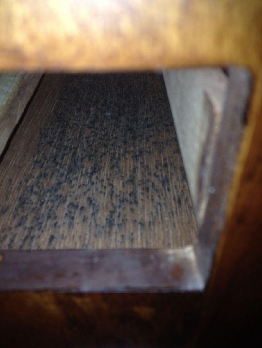 Bottom interior of humidor
