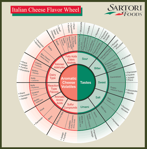 Cheese Taste Wheel 1